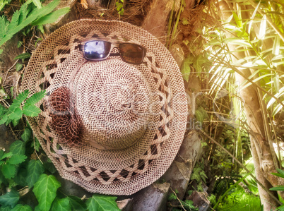 Most women's hat and sunglasses on the background of trees.