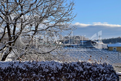 Winterlandschaft