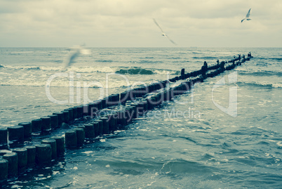 Buhnen am Strand der Ostsee auf der Insel Usedom, Mecklenburg-Vo
