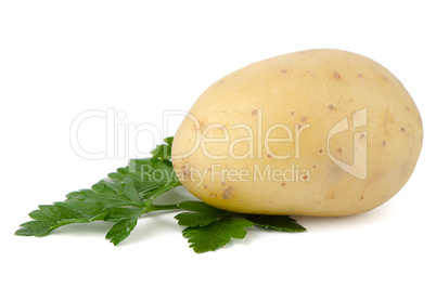 New potatoes and green parsley