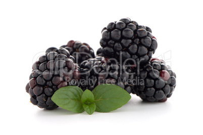 Blackberries with leaves