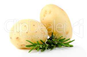 New potato and green parsley