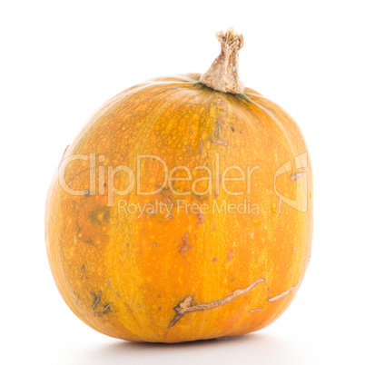 Pumpkin