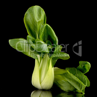 Pak choi on black