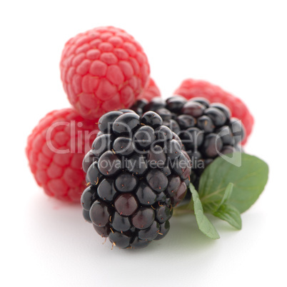 Raspberry with blackberry