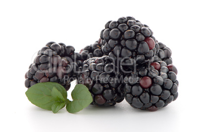 Blackberries with leaves