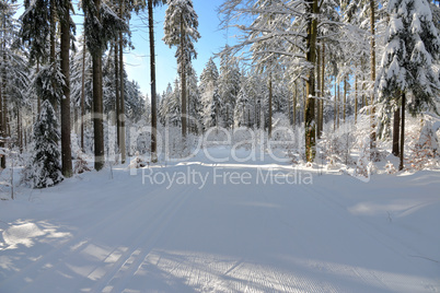 verschneiter Winterwald Loipe