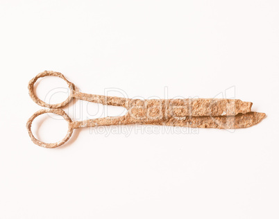 Rusted scissors vintage