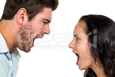 Couple screaming and having argument