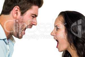 Couple screaming and having argument