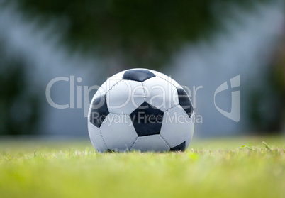 Football on green grass