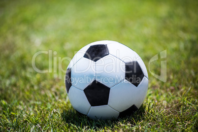 Traditional soccer ball on the lawn
