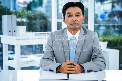 Portrait of asian businessman