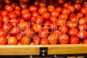 Close up view of fresh tomatoes in boxes
