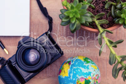 Camera and globe by potted plant on desk