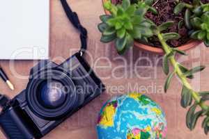 Camera and globe by potted plant on desk