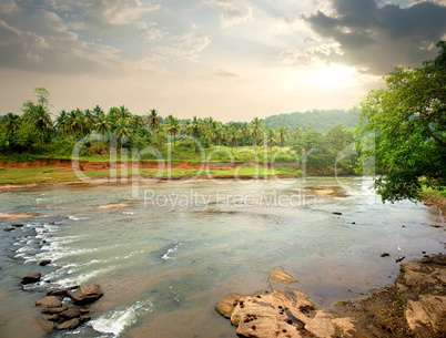 River in jungle