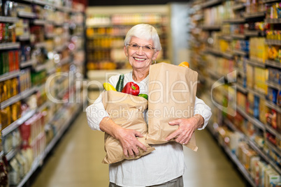Portrait of smiling senior woman with grocery bags