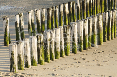 Two rows of white green groynes on a beach .