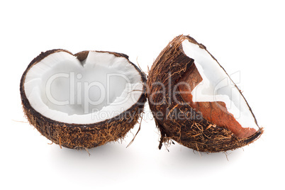 Coconut