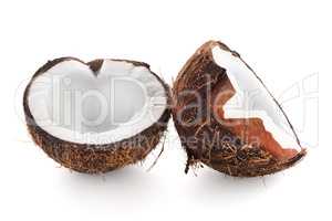 Coconut