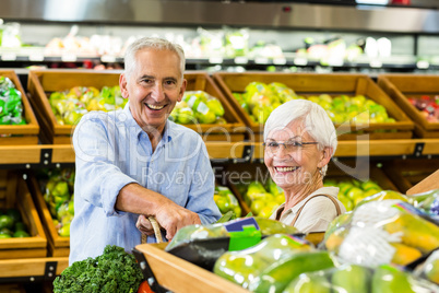 Senior couple doing some shopping together