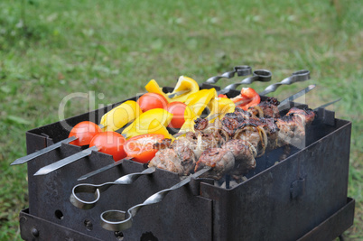 roasted meat with vegetable