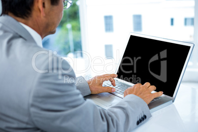 Businessman using his laptop