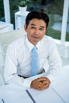 Portrait of asian businessman