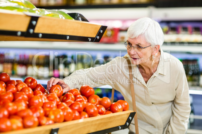 Senior woman choosing her tomatoes