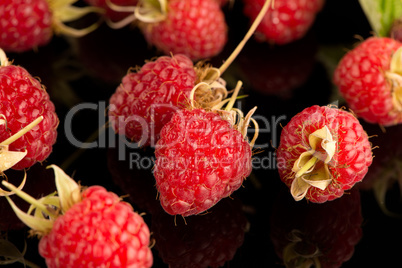 Fresh raspberries