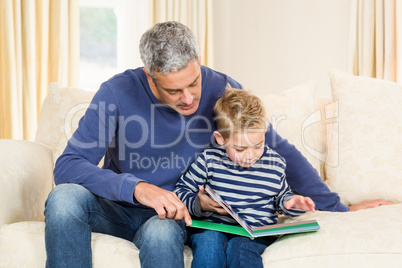 Father and son reading book