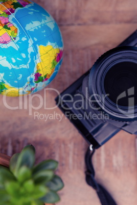 Camera by globe and potted plant on table