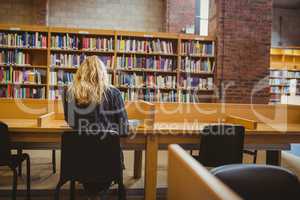 Rear view of woman studying