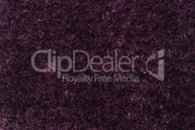 Purple carpet