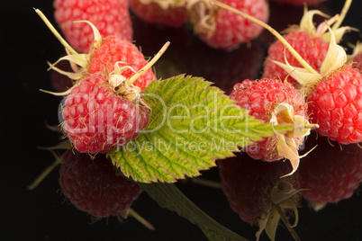 Fresh raspberries