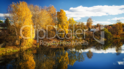 Golden autumn