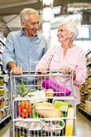 Happy senior couple shopping together