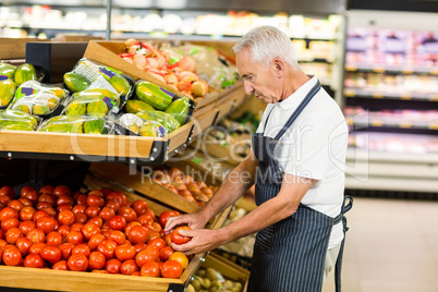 Serious senior worker taking tomato