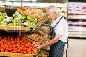 Serious senior worker taking tomato