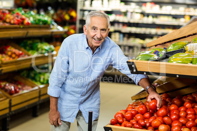 Senior man choosing tomato carefully