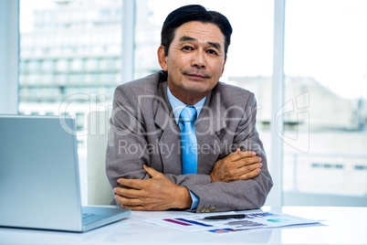 Portrait of asian businessman