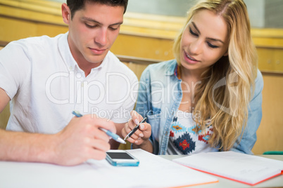 Male student explaining something to his classmate