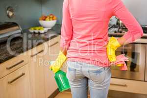 Midsection of woman ready to clean the kitchen