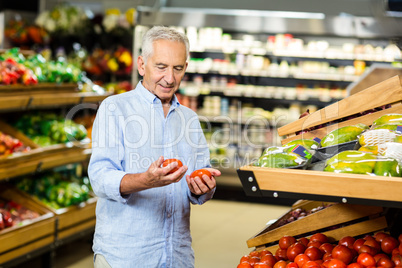 Senior man looking at two tomatoes