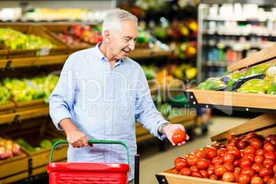 Senior man picking out tomatoes