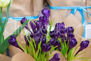 Beautiful crocuses. A bouquet of flowers for March 8, or Valentine's day