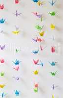 Colorful many origami paper cranes