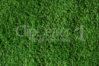 Green grass seamless texture. Seamless in only horizontal dimension