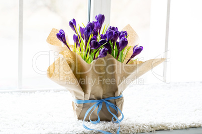 Beautiful crocuses. A bouquet of flowers for March 8, or Valentine's day